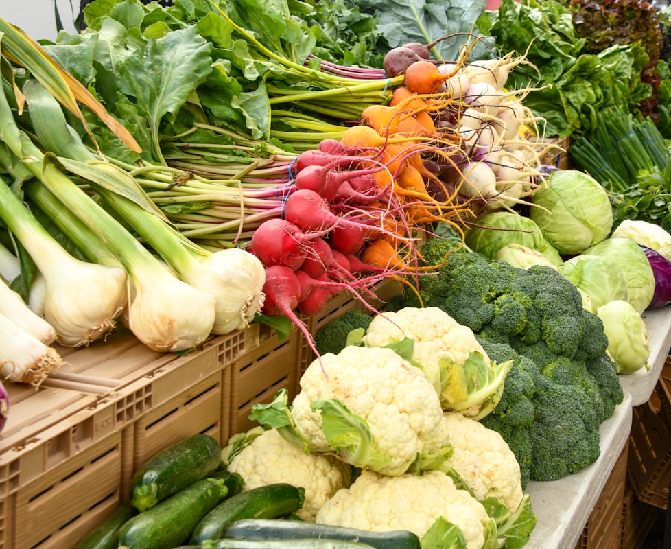 Collection of sustainable recipes and meal guides